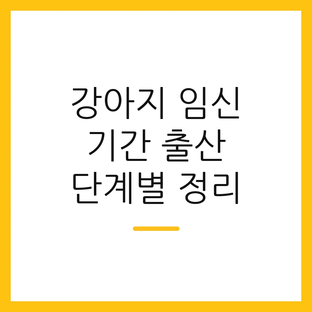 강아지 임신 기간 출산 단계별 정리 2 강아지 임신 기간 출산 단계별 정리
