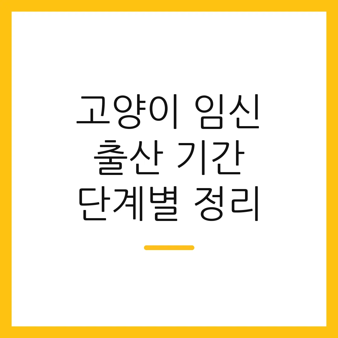 고양이 임신 출산 기간 단계별 정리