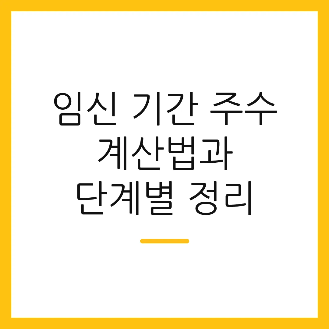 임신 기간 주수 계산법과 단계별 정리