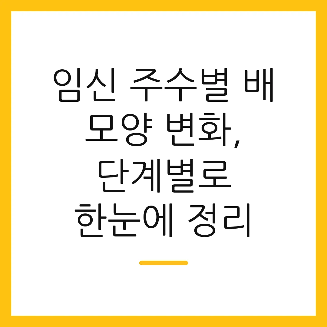 임신 주수별 배 모양 변화, 단계별로 한눈에 정리