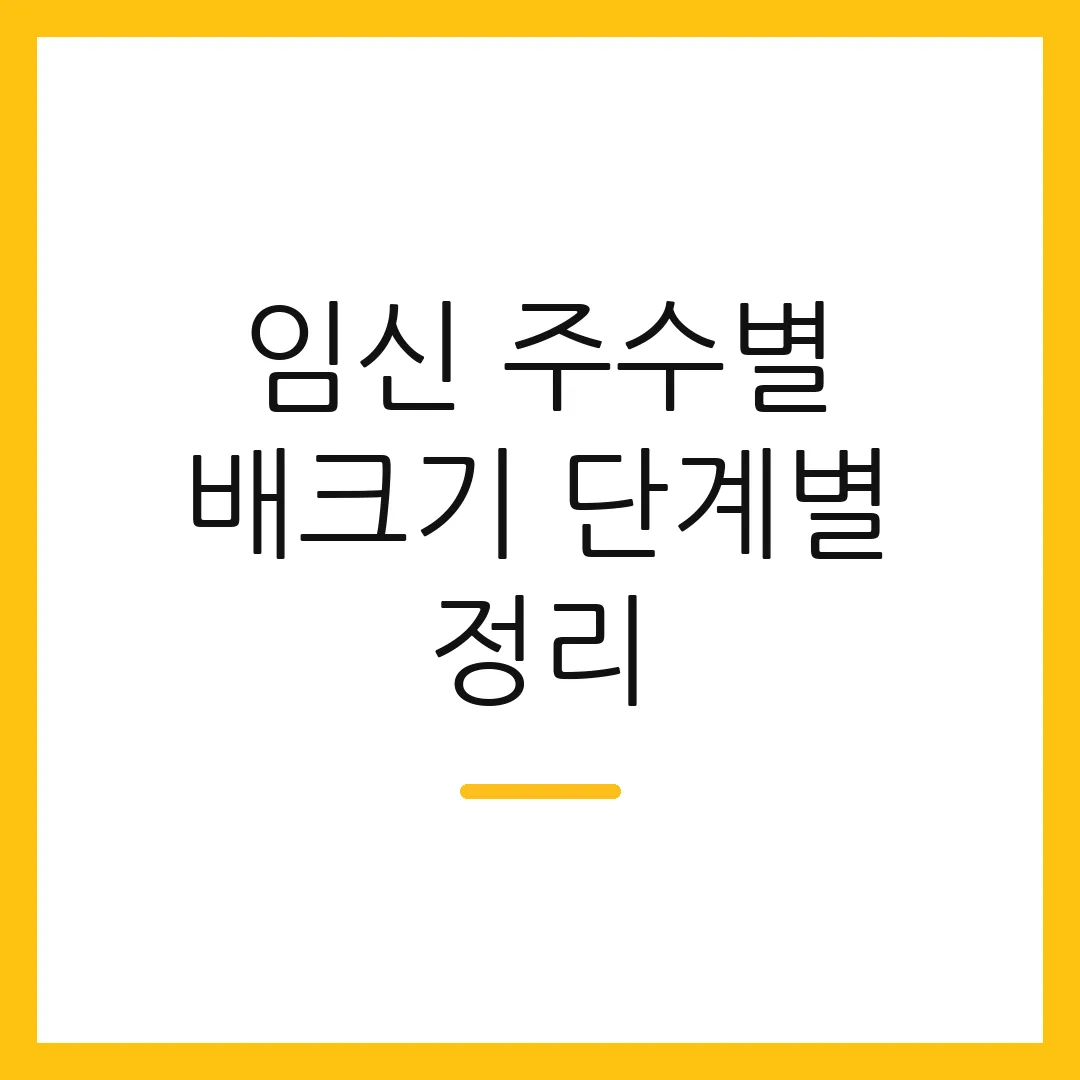 임신 주수별 배크기 단계별 정리