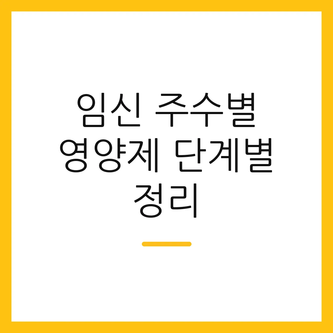 임신 주수별 영양제 단계별 정리