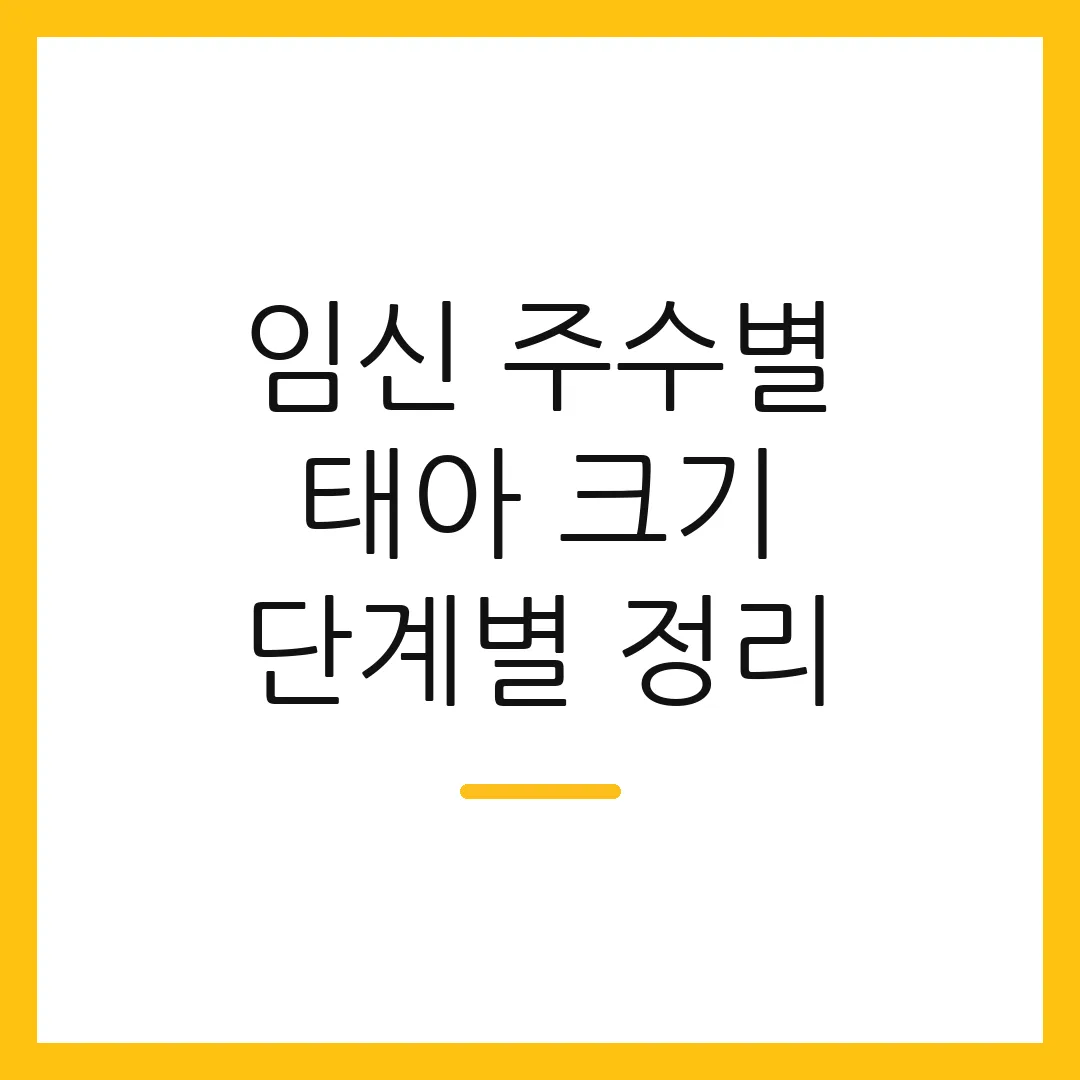 임신 주수별 태아 크기 단계별 정리