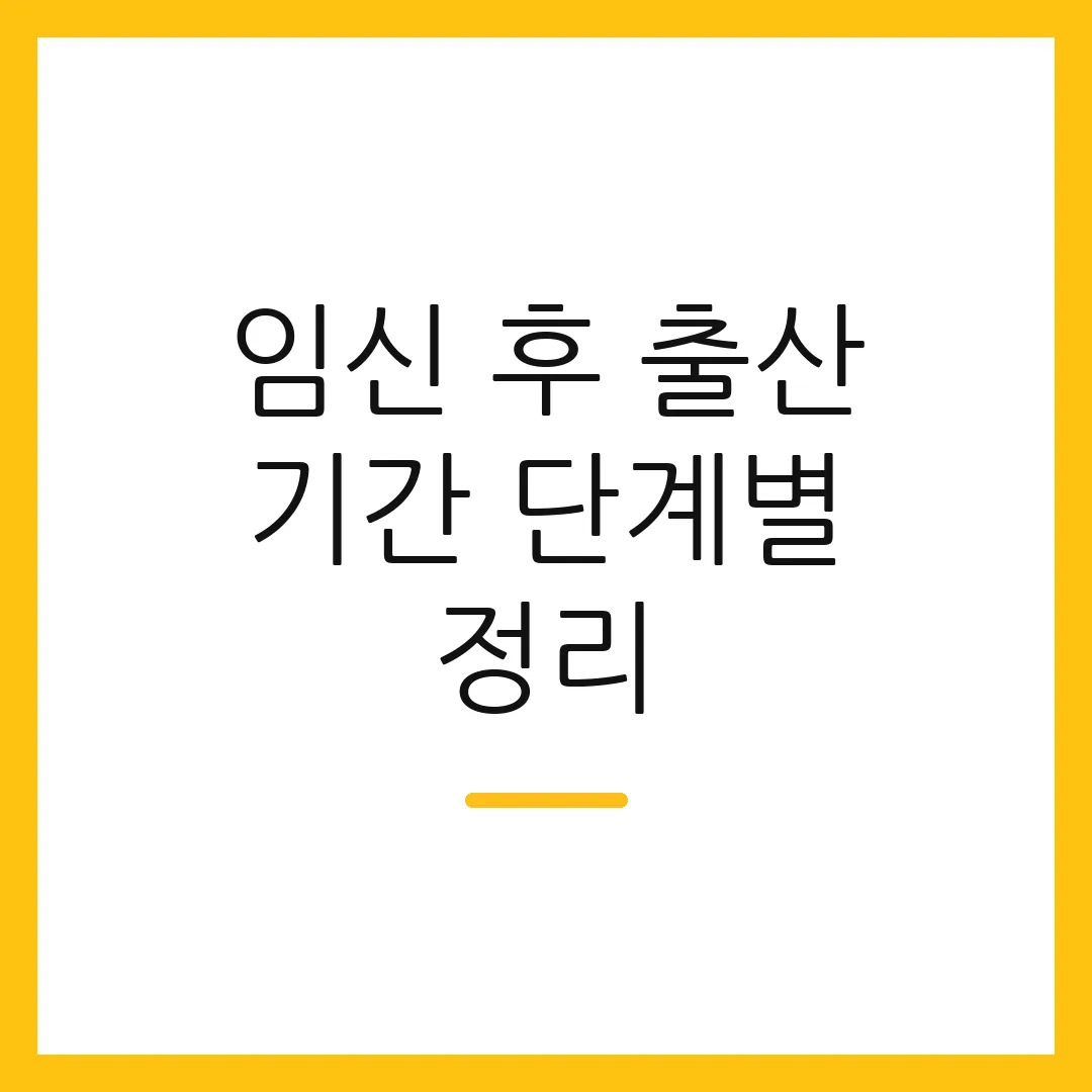 임신 후 출산 기간 단계별 정리