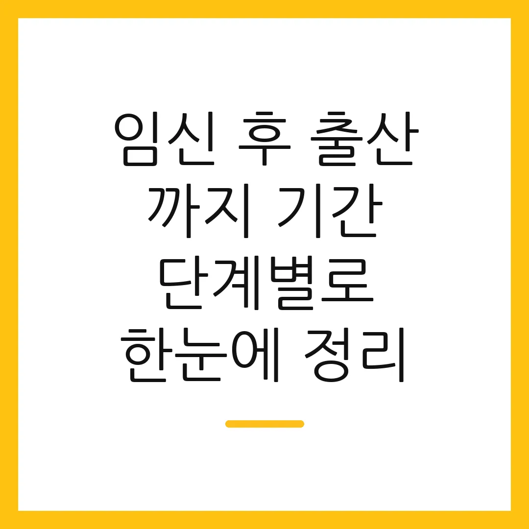임신 후 출산 까지 기간 단계별로 한눈에 정리
