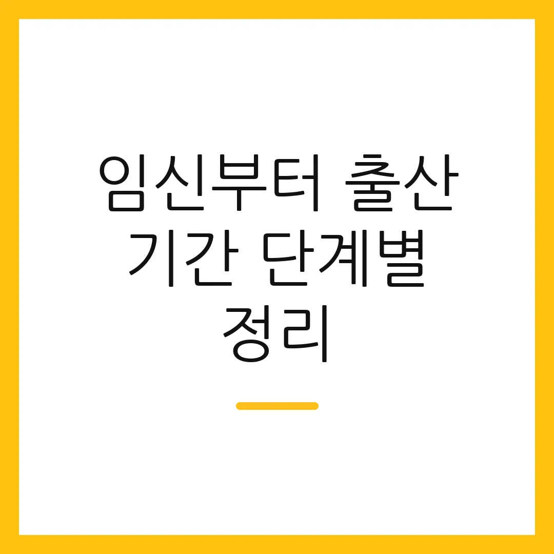 임신부터 출산 기간 단계별 정리