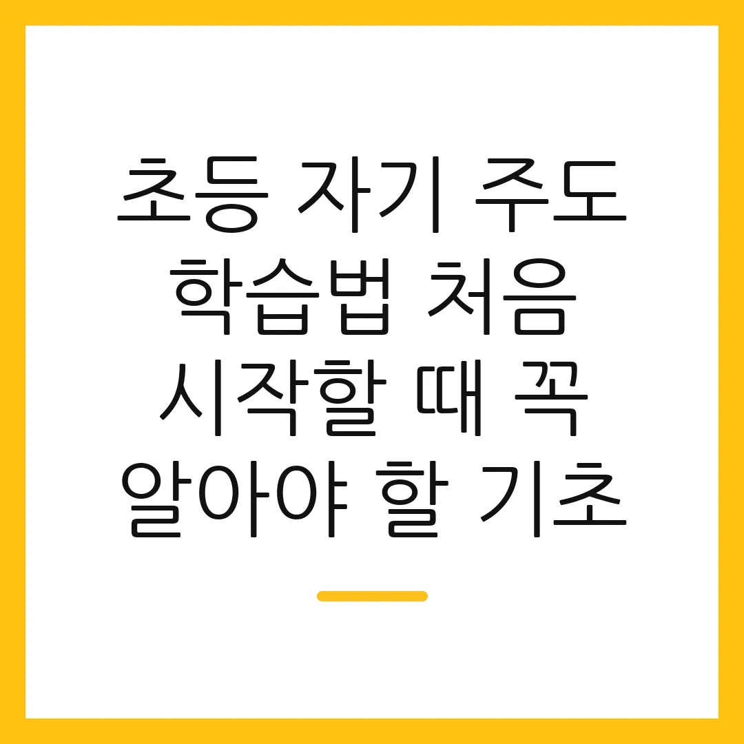 초등 자기 주도 학습법 처음 시작할 때 꼭 알아야 할 기초