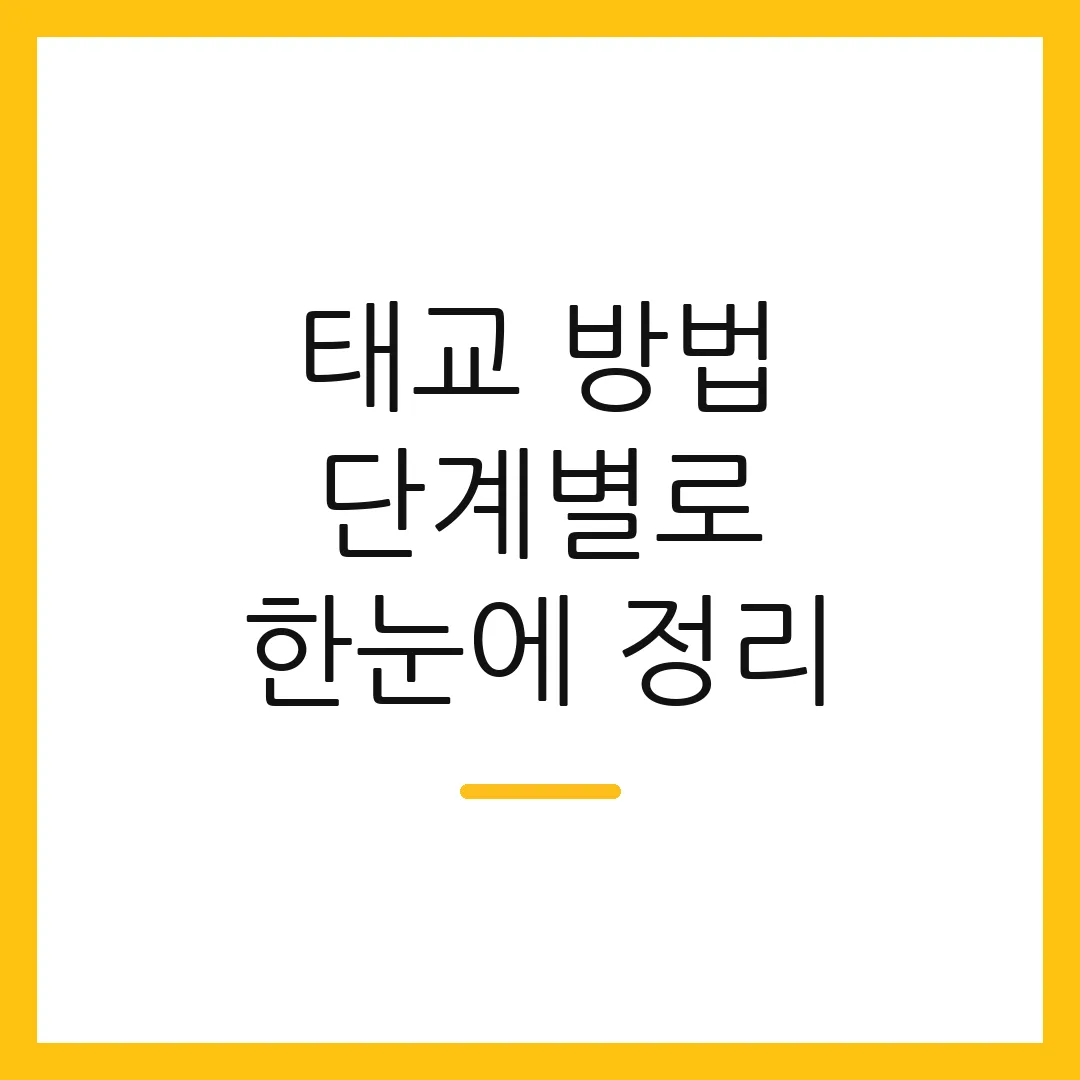 태교 방법 단계별로 한눈에 정리