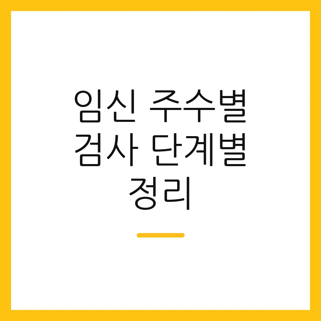 임신 주수별 검사 단계별 정리